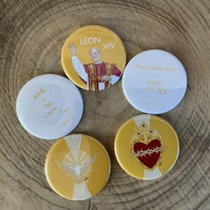 Lot de 5 magnets catho